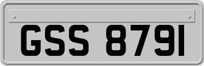 GSS8791