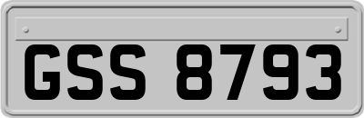 GSS8793
