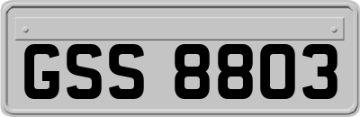GSS8803