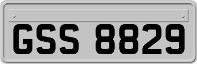 GSS8829
