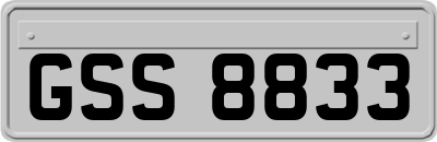 GSS8833