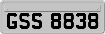 GSS8838