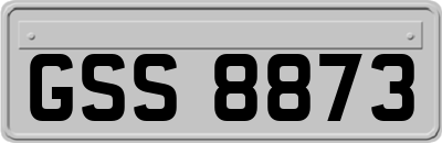 GSS8873