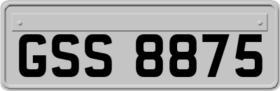 GSS8875