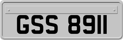 GSS8911