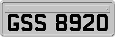 GSS8920