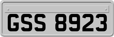GSS8923