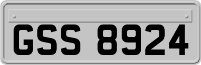 GSS8924