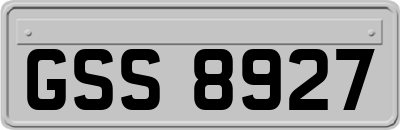 GSS8927