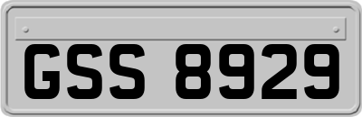 GSS8929