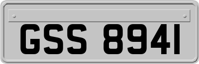 GSS8941