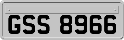 GSS8966
