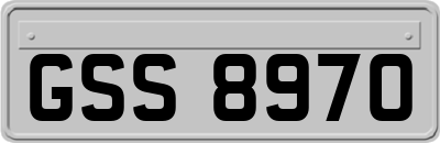 GSS8970
