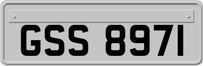 GSS8971