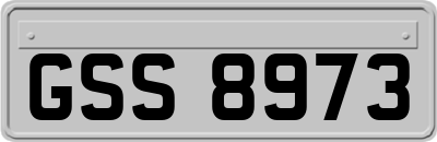 GSS8973