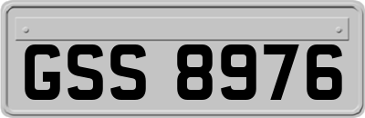 GSS8976