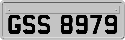 GSS8979
