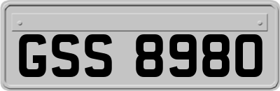 GSS8980