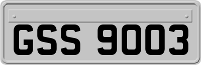 GSS9003