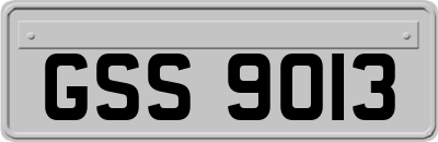GSS9013