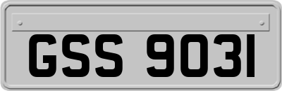 GSS9031