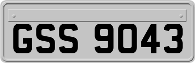 GSS9043