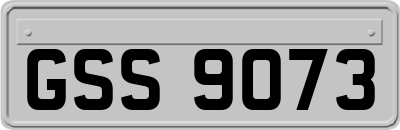 GSS9073