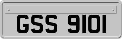 GSS9101