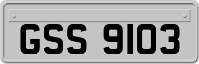 GSS9103