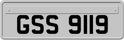 GSS9119