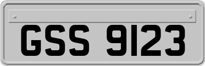 GSS9123