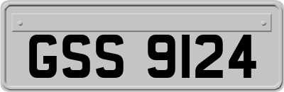 GSS9124