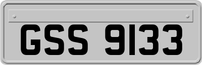 GSS9133