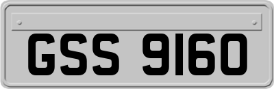GSS9160