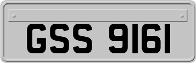 GSS9161