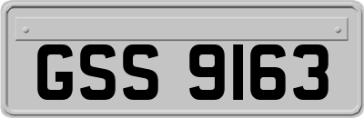 GSS9163