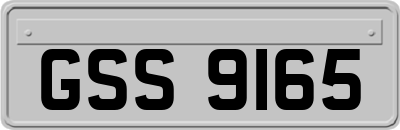 GSS9165
