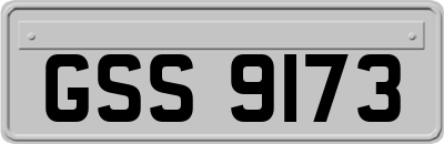 GSS9173