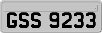 GSS9233