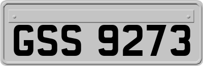 GSS9273