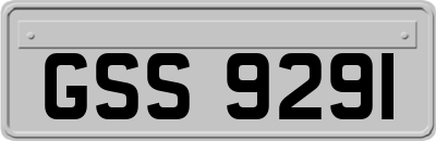 GSS9291