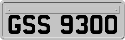 GSS9300