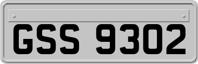 GSS9302