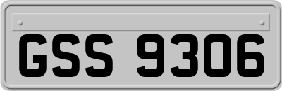 GSS9306