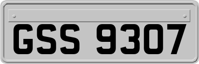 GSS9307