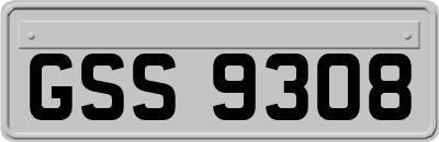 GSS9308
