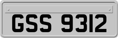 GSS9312