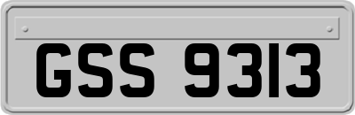 GSS9313