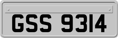 GSS9314