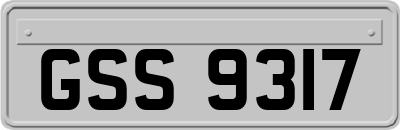 GSS9317